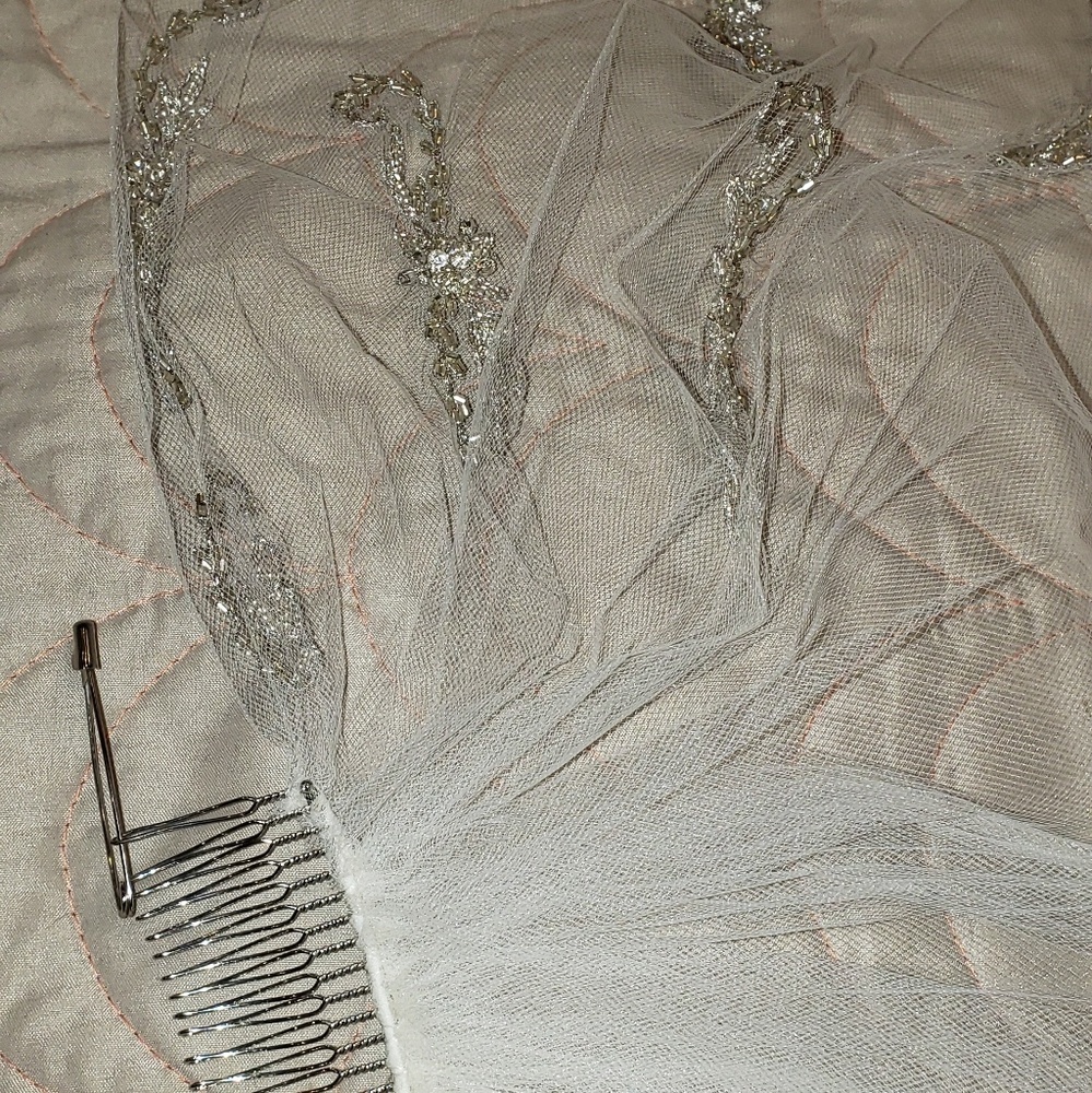 Veil - Picture 6 of 8